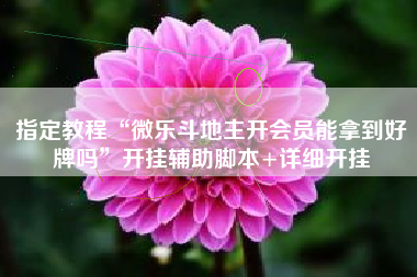 指定教程“微乐斗地主开会员能拿到好牌吗	”开挂辅助脚本+详细开挂