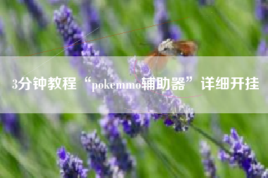 3分钟教程“pokemmo辅助器”详细开挂