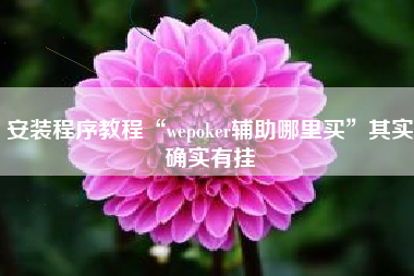 安装程序教程“wepoker辅助哪里买”其实确实有挂 安装程序教程“wepoker辅助哪里买”其实确实有挂