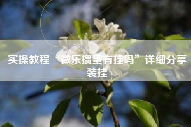 实操教程“微乐掼蛋有挂吗”详细分享装挂