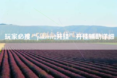 玩家必搜“pokerrr2开挂	”开挂辅助详细
