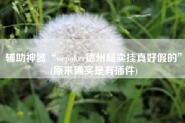 辅助神器“wepoker德州局卖挂真好假的”(原来确实是有插件)
