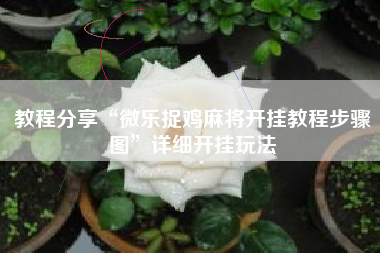 教程分享“微乐捉鸡麻将开挂教程步骤图”详细开挂玩法