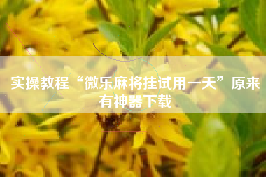 实操教程“微乐麻将挂试用一天	”原来有神器下载