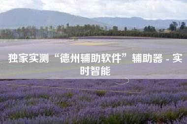 独家实测“德州辅助软件	”辅助器 - 实时智能