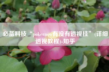 必备科技“pokernow有没有透视挂	”(详细透视教程)-知乎