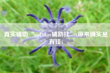 真实辅助“wePoker辅助挂	”(原来确实是有挂)