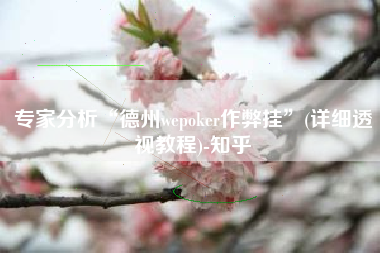 专家分析“德州wepoker作弊挂”(详细透视教程)-知乎