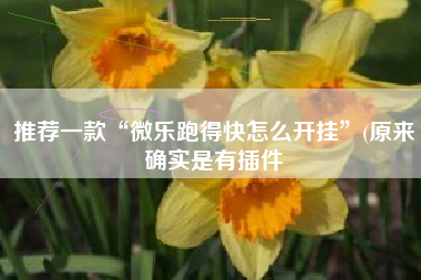 推荐一款“微乐跑得快怎么开挂	”(原来确实是有插件