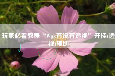 玩家必看教程“Wpk有没有透视	”开挂(透视)辅助