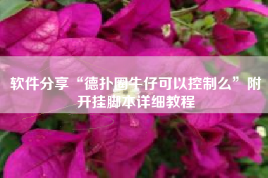 软件分享“德扑圈牛仔可以控制么”附开挂脚本详细教程