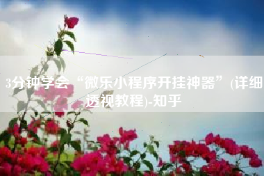 3分钟学会“微乐小程序开挂神器	”(详细透视教程)-知乎