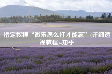 指定教程“微乐怎么打才能赢”(详细透视教程)-知乎