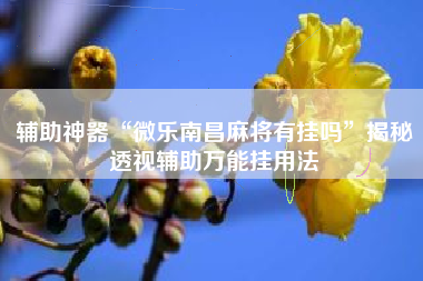 辅助神器“微乐南昌麻将有挂吗”揭秘透视辅助万能挂用法