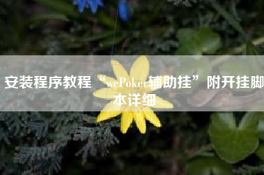 安装程序教程“wePoker辅助挂”附开挂脚本详细