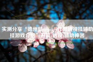 实测分享“德州局wepoker作弊透视挂辅助挂游戏介绍”开挂(透视)辅助神器