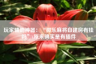 玩家辅助神器：“微乐麻将自建房有挂吗	”(原来确实是有插件