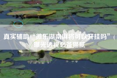 真实辅助“微乐湖南麻将可以开挂吗	”(曝光透视必备猫腻