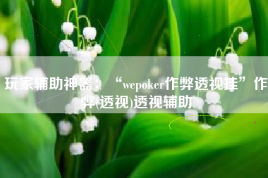 玩家辅助神器：“wepoker作弊透视挂”作弊(透视)透视辅助