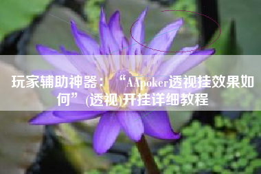 玩家辅助神器：“AApoker透视挂效果如何”(透视)开挂详细教程
