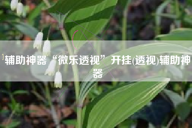 辅助神器“微乐透视	”开挂(透视)辅助神器