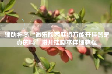 辅助神器“微乐陕西麻将万能开挂器是真的吗	”附开挂脚本详细教程