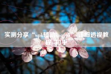 实测分享“wpk辅助kaq665	”(详细透视教程)-知乎