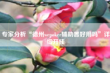 专家分析“德州wepoker辅助器好用吗	”详细开挂