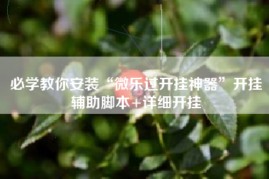 必学教你安装“微乐过开挂神器”开挂辅助脚本+详细开挂