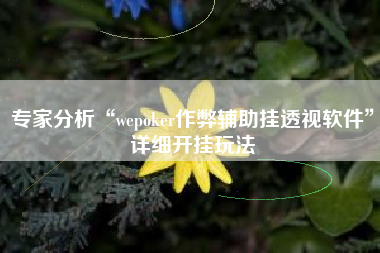专家分析“wepoker作弊辅助挂透视软件”详细开挂玩法