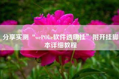 分享实测“wePOke软件透明挂”附开挂脚本详细教程