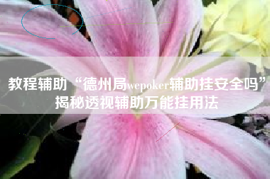 教程辅助“德州局wepoker辅助挂安全吗”揭秘透视辅助万能挂用法