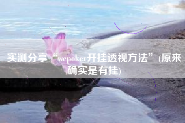 实测分享“wepoker开挂透视方法”(原来确实是有挂)