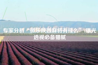 专家分析“微乐陕西麻将有挂么	”(曝光透视必备猫腻