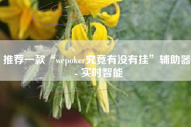 推荐一款“wepoker究竟有没有挂	”辅助器 - 实时智能