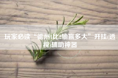 玩家必读“德州1比2输赢多大”开挂(透视)辅助神器