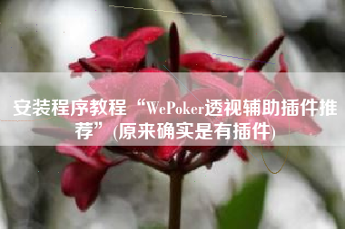 安装程序教程“WePoker透视辅助插件推荐”(原来确实是有插件)