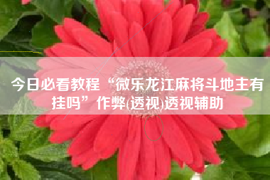 今日必看教程“微乐龙江麻将斗地主有挂吗	”作弊(透视)透视辅助