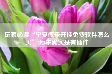 玩家必读“宁夏微乐开挂免费软件怎么买”(原来确实是有插件