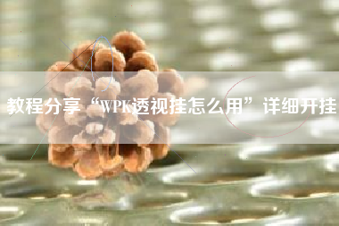 教程分享“WPK透视挂怎么用”详细开挂