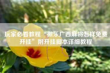 玩家必看教程“微乐广西麻将怎样免费开挂”附开挂脚本详细教程