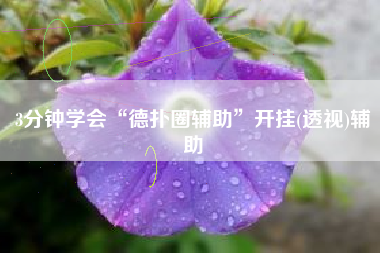 3分钟学会“德扑圈辅助	”开挂(透视)辅助