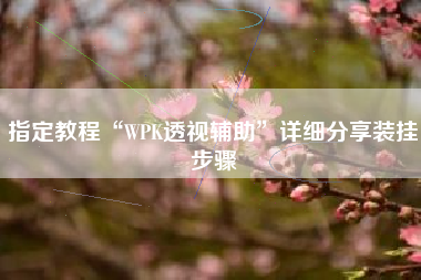 指定教程“WPK透视辅助”详细分享装挂步骤