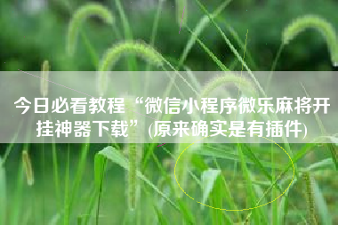 今日必看教程“微信小程序微乐麻将开挂神器下载	”(原来确实是有插件)