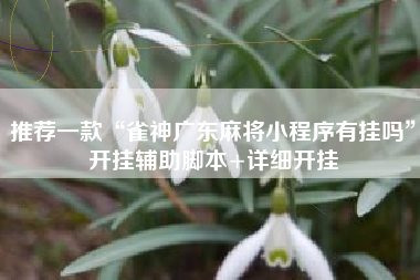 推荐一款“雀神广东麻将小程序有挂吗”开挂辅助脚本+详细开挂