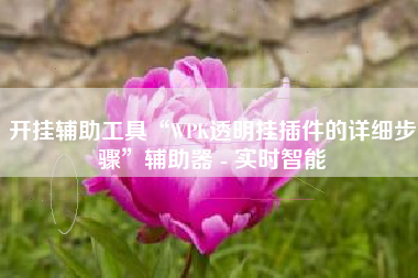 开挂辅助工具“WPK透明挂插件的详细步骤”辅助器 - 实时智能