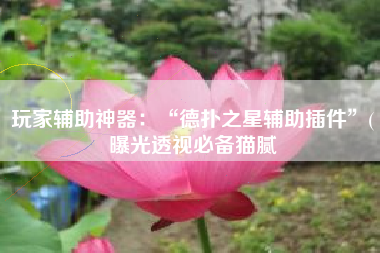 玩家辅助神器：“德扑之星辅助插件”(曝光透视必备猫腻