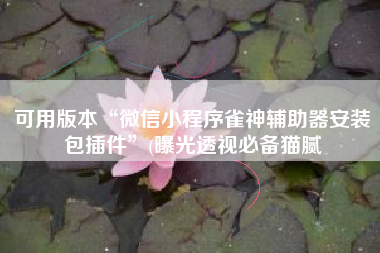 可用版本“微信小程序雀神辅助器安装包插件”(曝光透视必备猫腻