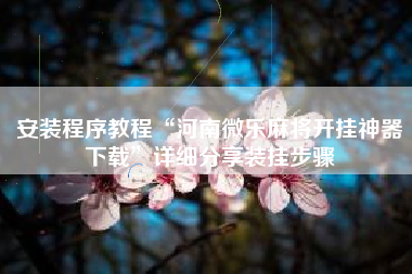 安装程序教程“河南微乐麻将开挂神器下载”详细分享装挂步骤