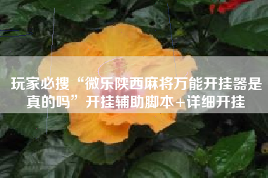 玩家必搜“微乐陕西麻将万能开挂器是真的吗”开挂辅助脚本+详细开挂